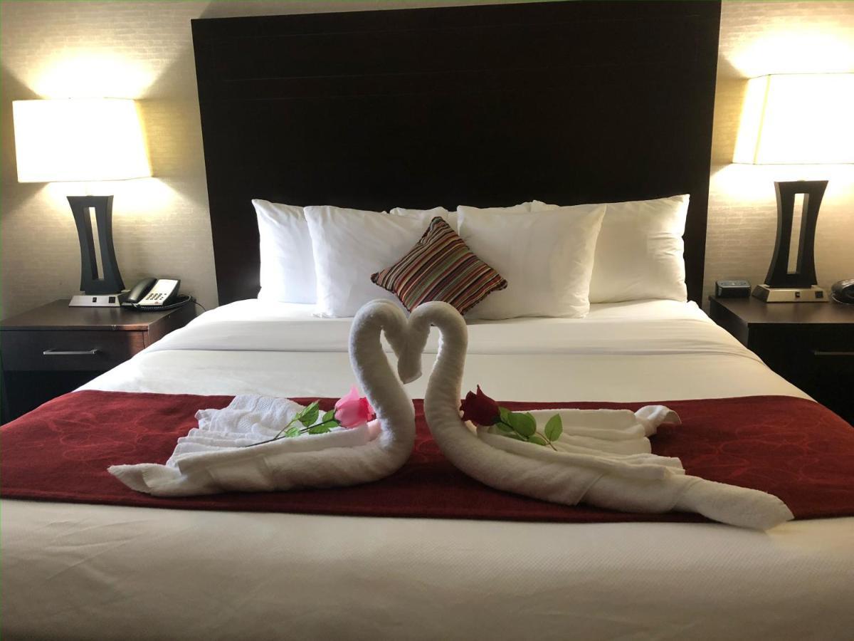 คอมฟอร์ต สวีท ฮุสตัน เวสต์ แอท เคลย์ โร้ด Hotel ฮูสตัน ภายนอก รูปภาพ